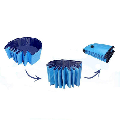 Piscina pentru caini-1